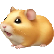 hamster  sticker
