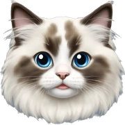 Ragdoll kitten sticker
