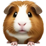 Guinea pig  sticker