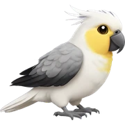 Cockatiel sticker