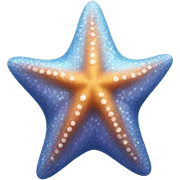 Star fish sticker
