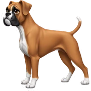 Boxer dog sticker