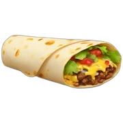 burrito sticker