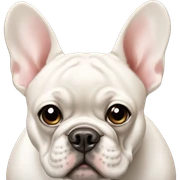 French bulldog  sticker