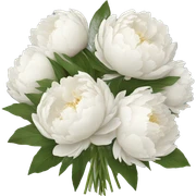 White peonies bouquet  sticker