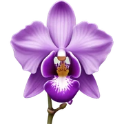 orchid sticker