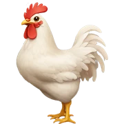 chicken sticker