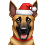Belgian Malinois shepherd dog wearing a Santa Claus hat sticker
