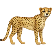 cheetah sticker
