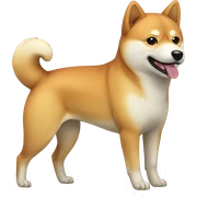 Shiba Inu sticker