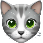 Cat with green eyes and light gray hair  sticker