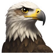 National eagle  sticker