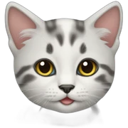kitten sticker