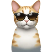 Cat with sunglasses sticker