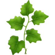 ivy plant sticker