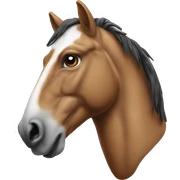 crazy horse sticker