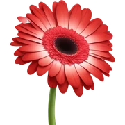 Red Gerberas flowers sticker