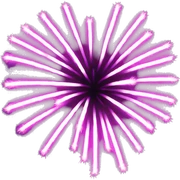 Pink and purple fireworks  sticker