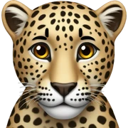 Leopard sticker