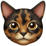 Tortoiseshell cat sticker