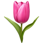 Pink tulips with a bow sticker