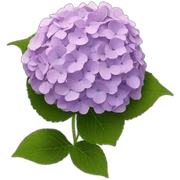 hydrangea sticker