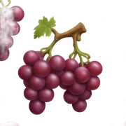 Red grapes sticker