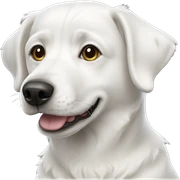 White dog sticker