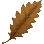 leaf sticker