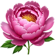 Peony sticker