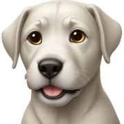 Animais marinhos sticker
