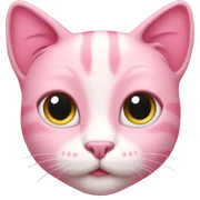 Pink cat sticker