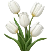 White tulips  sticker