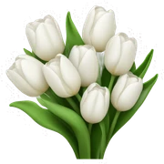 white tulip bouquet  sticker