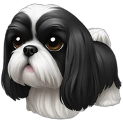 Shih tzu noir sticker