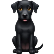Black dog sticker