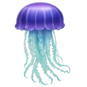 Jelly fish  sticker