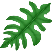 leaf sticker
