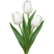 White tulips sticker