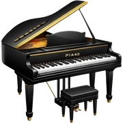 Piano sticker