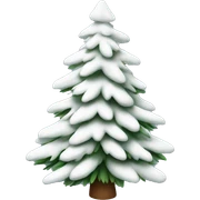  actual white fir christmas tree isolated.  sticker