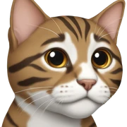 Brown and white tabby sticker