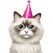 Ragdoll with party hat sticker