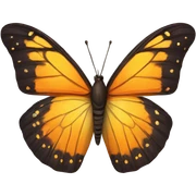 Butterfly  sticker