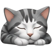 Sleeping cat sticker