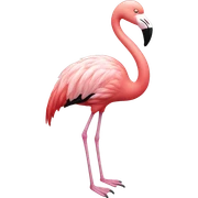 Flamingo sticker
