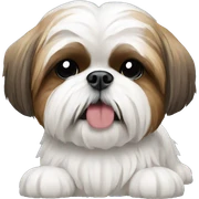 Shihtzu sticker