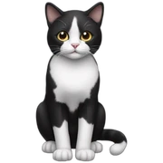 Black and White cat sticker