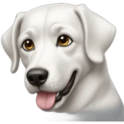perro blanco sticker