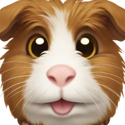 Cavia sticker